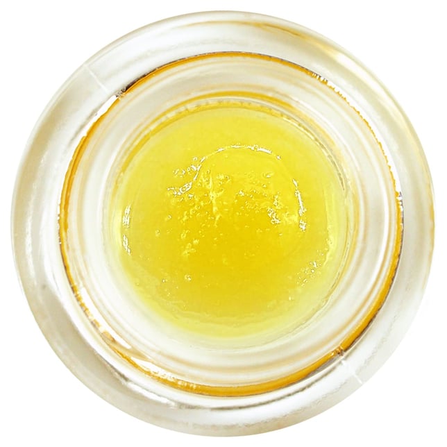 Forbidden ZKZ - Image 2