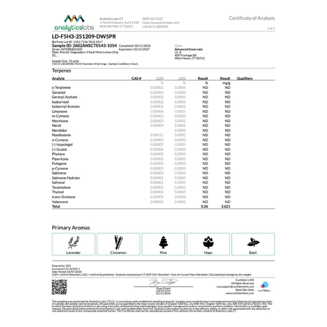 Dogwalkers - Lemon Drip (S) 0.35g Pre-Rolls 5pk (1.75g) C0010001299 - Image 6