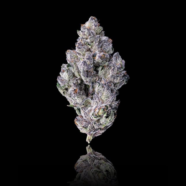 98K All-In-One Gold Blend [1000mg] - Image 2