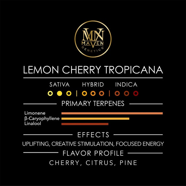Lemon Cherry Tropicana Pre-Roll 5-Pack [2.5g] - Image 13