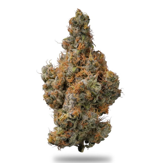 Biscotti Breeze - Image 2