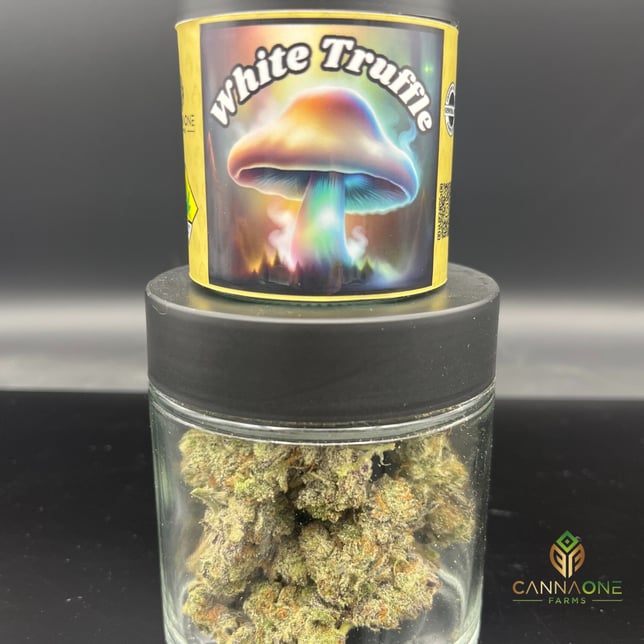 White Truffle - Image 1