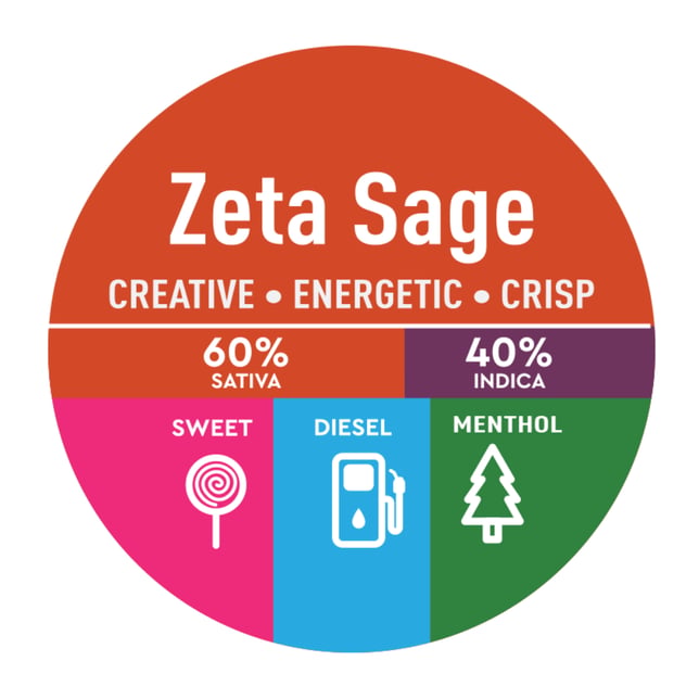 Zeta Sage - Image 2