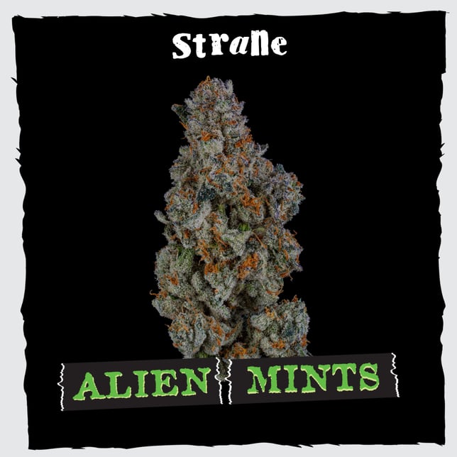 Alien Mints - Image 2