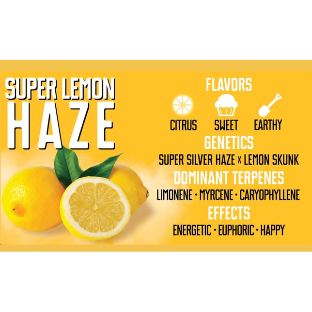 Super Lemon Haze - Image 2