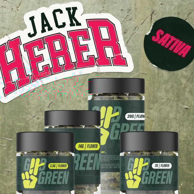 Jack Herer - Image 4