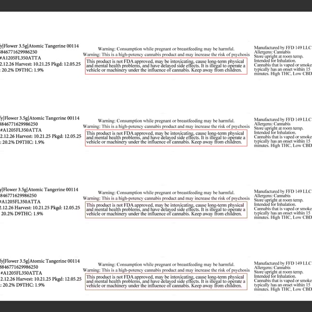 Comffy - Atomic Tangerine (S) Flower C0140000114 - Image 3 Comffy - Atomic Tangerine (S) Flower C0140000114 - Image 3