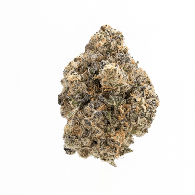 Grapelatto - Image 3