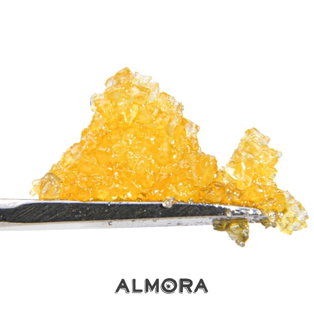 White Berry - Image 4