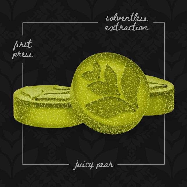 Live Rosin Gummies - Juicy Pear [10pk] (100mg) - Image 2