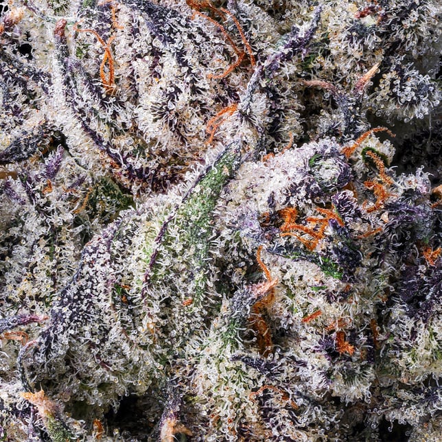 98K Pre-Roll [1g] - Image 5