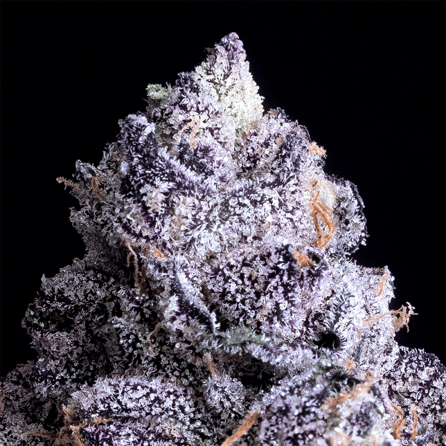 Prizm [3.5g] - Image 4