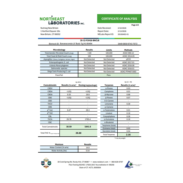 Lil Budz - Bananaconda (H) Smalls  C0101000494 - Image 3