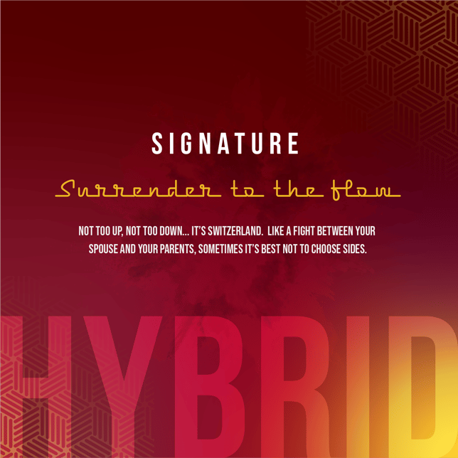 Batch | Cartridges | Signature Hybrid Tropical Storm | 1 g - Image 2