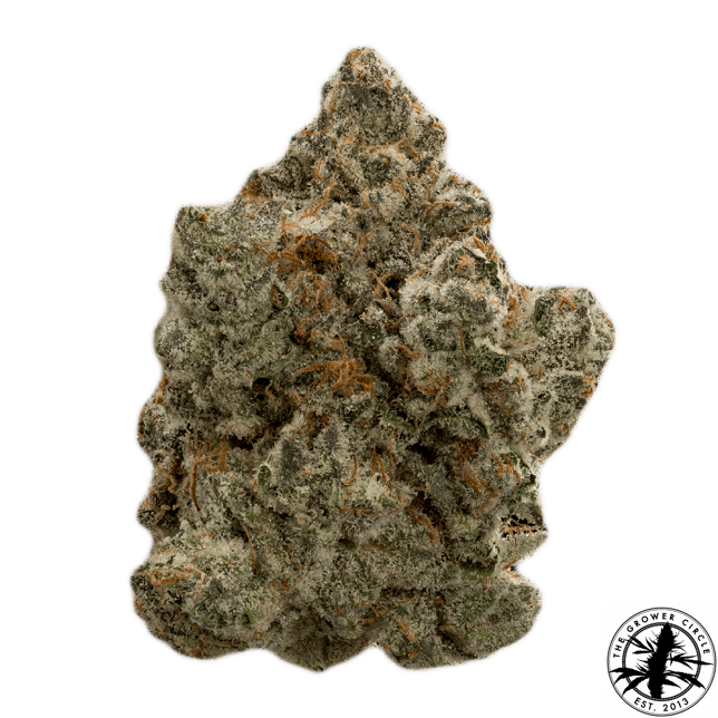 Peach Cobbler - Image 1 Peach Cobbler - Image 1