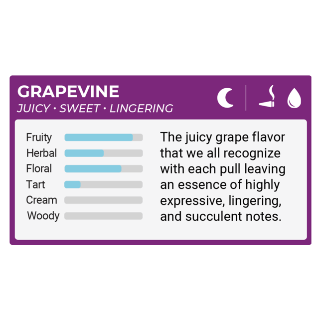 The Clear Original All in One Disposable 1000mg | Grapevine - Image 2