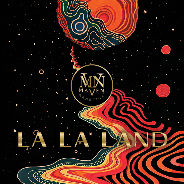 La La Land Halos Infused Pre-Roll [1.9g] - Image 2