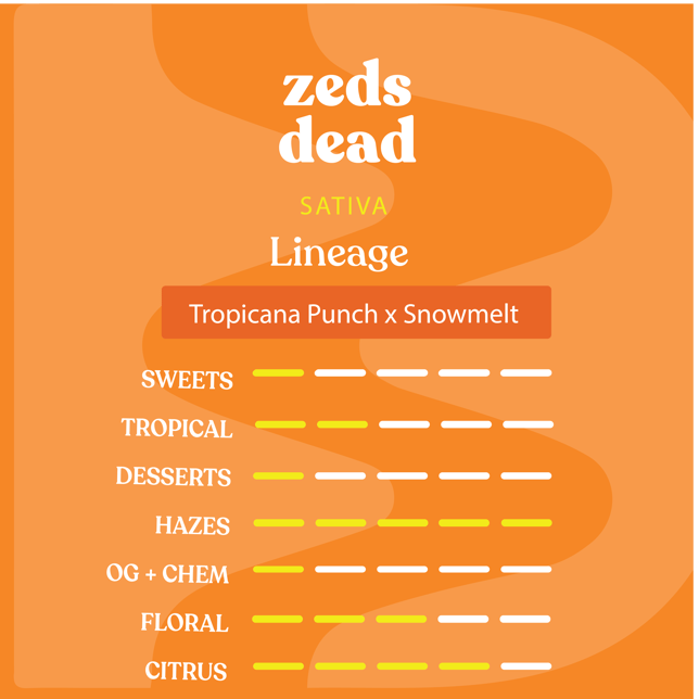 Zed's Dead - Image 2