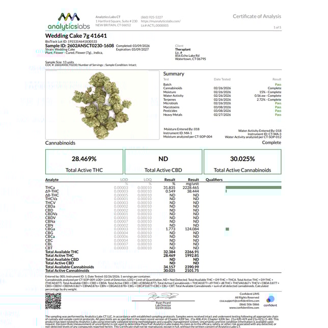 Theraplant - Wedding Cake (I) Flower C0040001641 - Image 3 Theraplant - Wedding Cake (I) Flower C0040001641 - Image 3