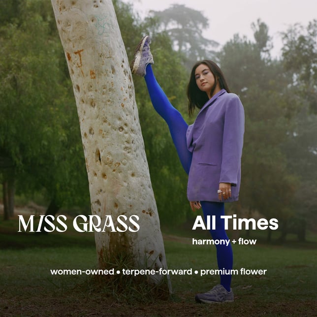 Minis 5pk - All Times [2g] - Image 3