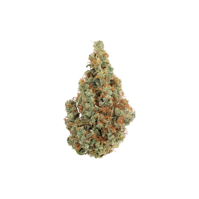 Blueberry Clementine - Image 3 Blueberry Clementine - Image 3