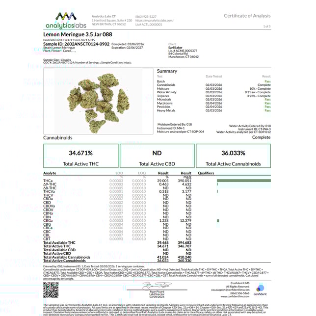 Earl Baker - Lemon Merang (S) Flower  C0110000088 - Image 3
