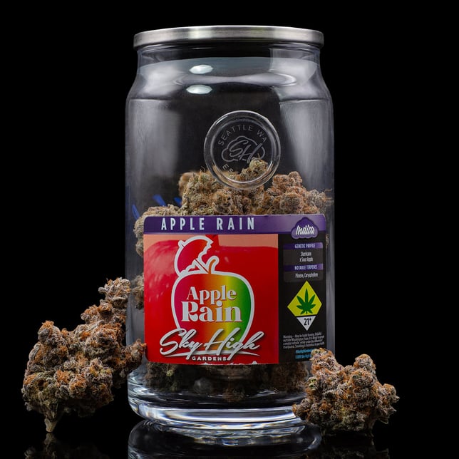 Apple Rain - Image 2 Apple Rain - Image 2