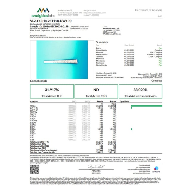 Dogwalkers - Vel Croz (H) 1g Pre-Roll 1pk (1g) C0010001230 - Image 4