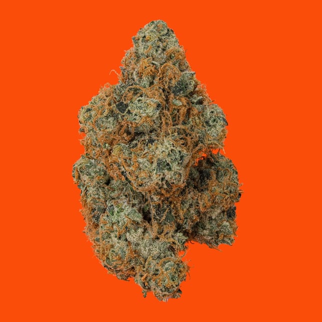 Sweet Sting - Image 2