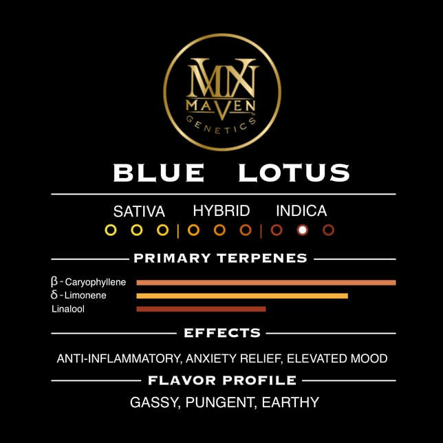 Blue Lotus Pre-Roll 5-Pack [2.5g] - Image 10