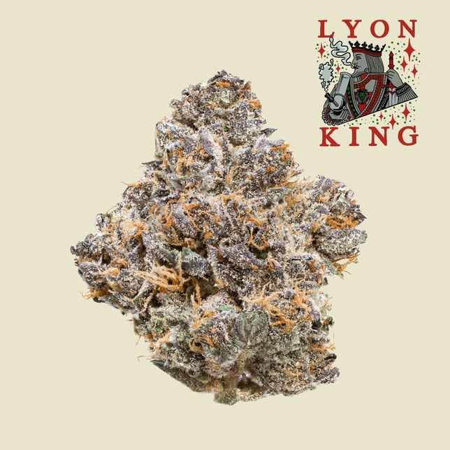 Lyon King - Freddy's Finest - Image 1 Lyon King - Freddy's Finest - Image 1