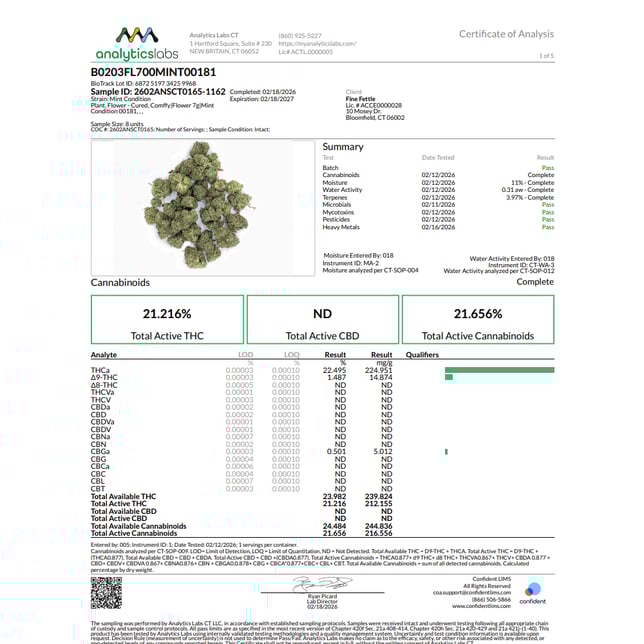 Comffy - Mint Condition (S) Flower  C0140000181 - Image 2