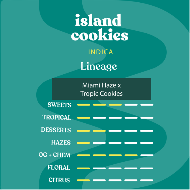 Island Cookies - Image 2