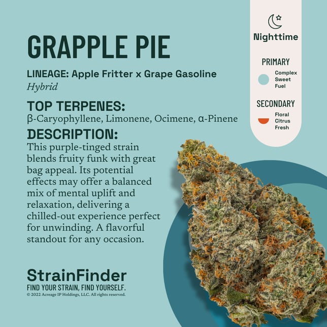 Grapple Pie - Image 3 Grapple Pie - Image 3