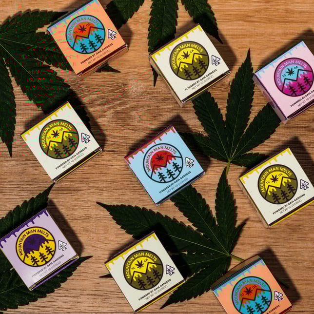 Champaya - Image 6 Champaya - Image 6