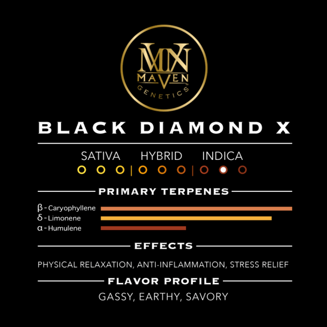Black Diamond X Pre-Roll [1g] - Image 11