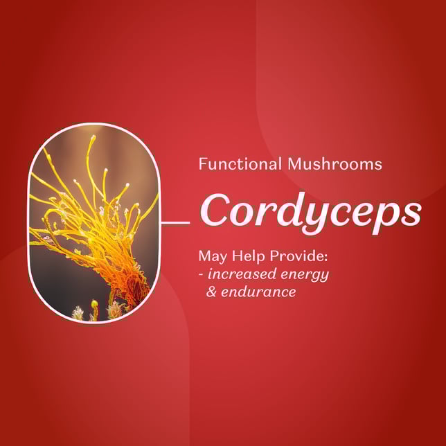 *Wonder Love | 1:1 Strawberry Gummies [20pk] (100mg CBD/100mg THC) - Image 3