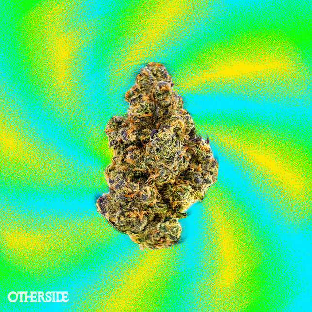 Slurricane - Image 1 Slurricane - Image 1