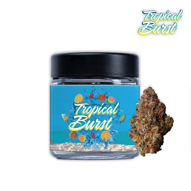 Tropical Burst - Image 2