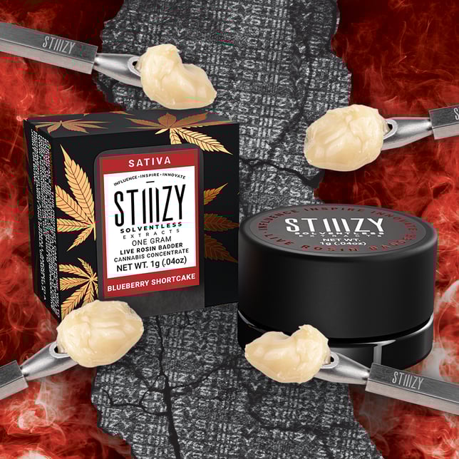 Blueberry Shortcake - Image 1