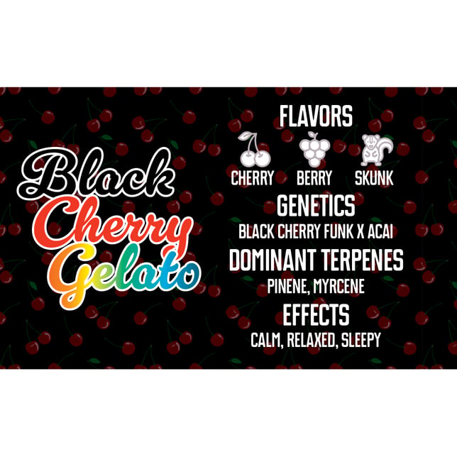 Black Cherry Gelato - Image 2
