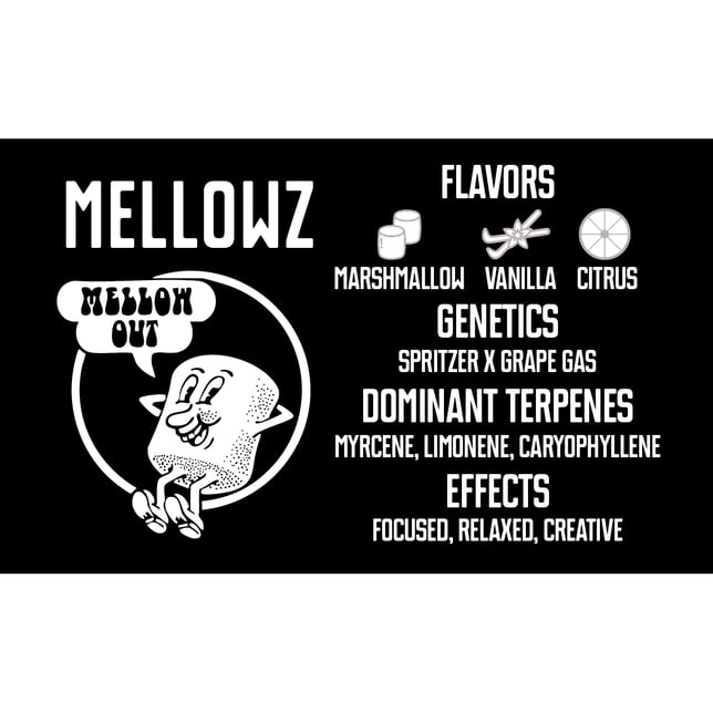 Mellowz - Image 2 Mellowz - Image 2