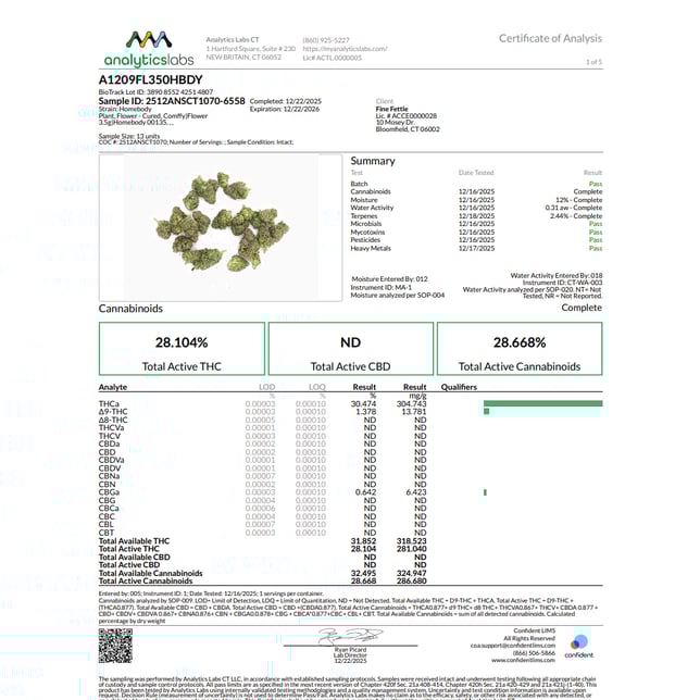 Comffy - Homebody (I) Flower  C0140000135 - Image 3