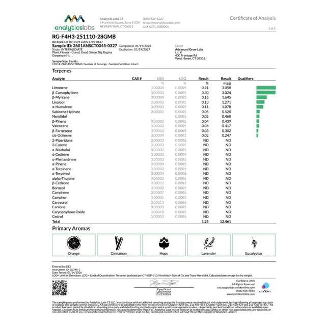 Good Green - Regina Gorgeous (H) Flower  C0010001237 - Image 6