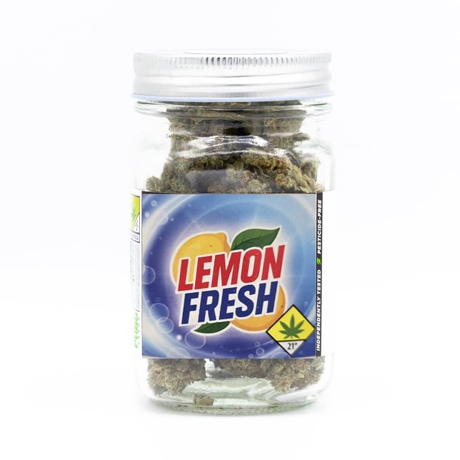 Lemon Fresh - Image 1 Lemon Fresh - Image 1