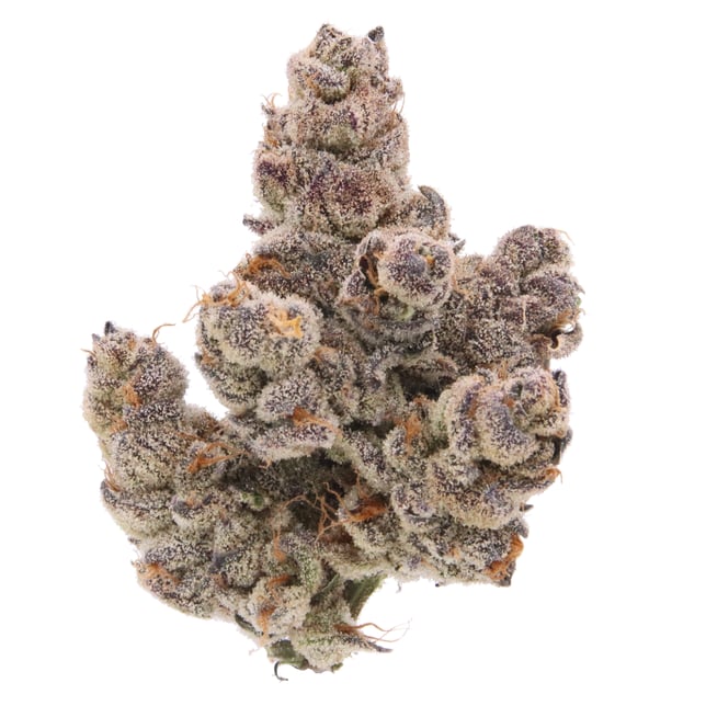 Piescream - Image 2 Piescream - Image 2