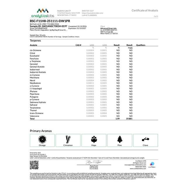 Dogwalkers - B Scout (I) 1g Pre-Roll 1pk (1g) C0010001229 - Image 6