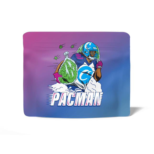 Pacman - Image 3