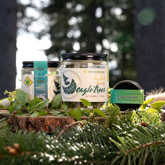 Stem Cell CBG - Image 1 Stem Cell CBG - Image 1