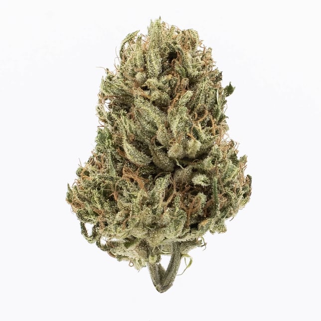 Clementine Kush - Image 1